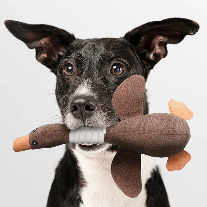 "Robustes langlebiges Hundespielzeug in Blau und Braun, ideal für Kauen und Zerren, hält starker Beanspruchung stand."
