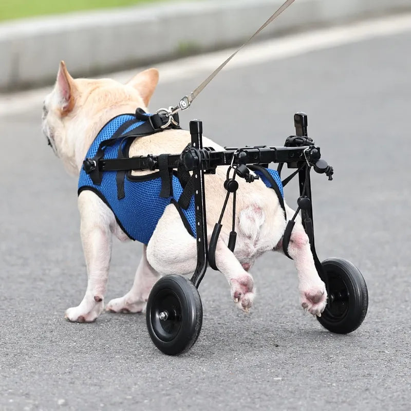 "Rollstuhl für Tiere – Mobilitätshilfe für Hunde und Katzen, leicht verstellbarer Rahmen, unterstützt Bewegung und Komfort."