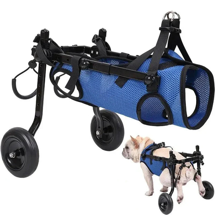 "Rollstuhl für Tiere – Mobilitätshilfe für Hunde und Katzen, leicht verstellbarer Rahmen, unterstützt Bewegung und Komfort."