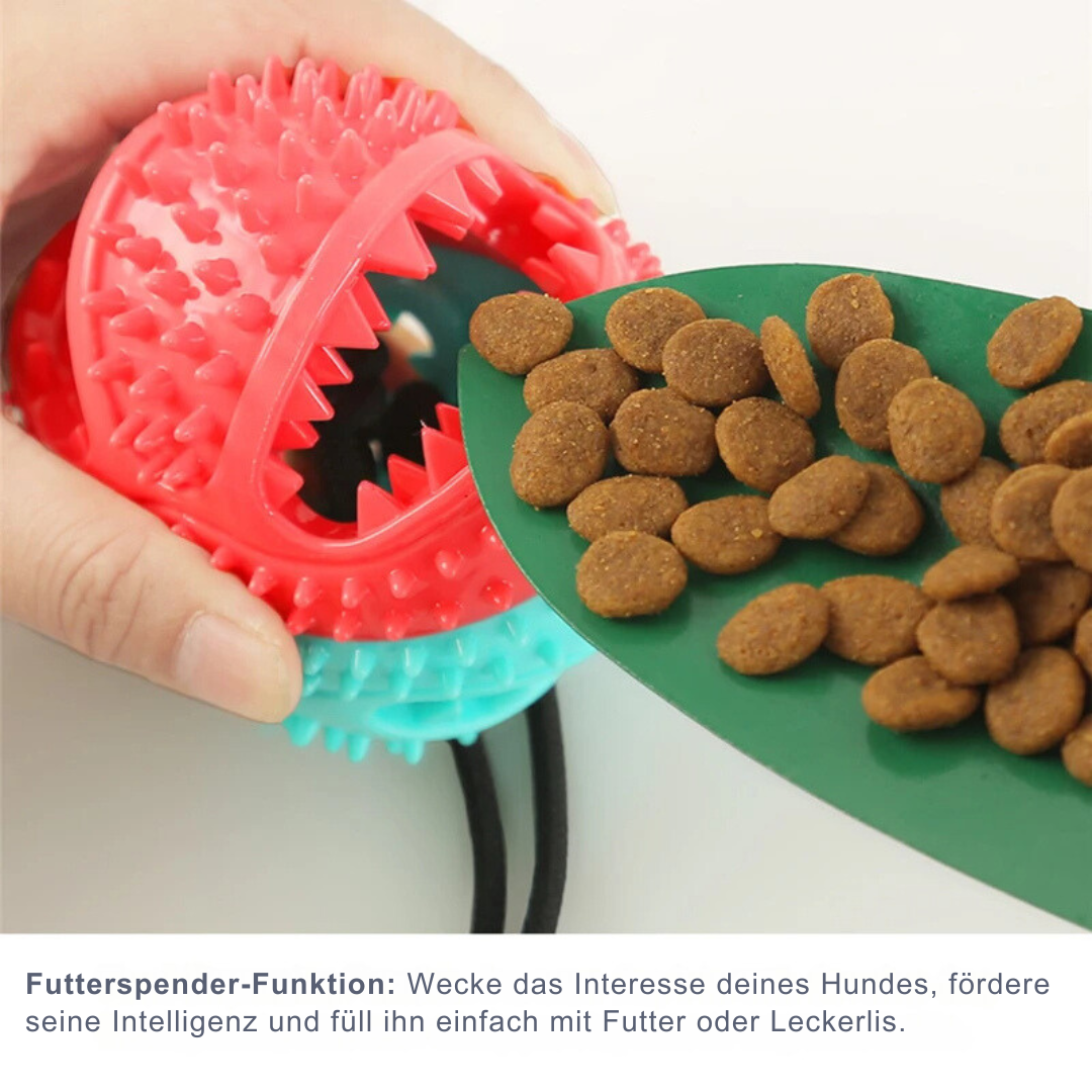 "Saugnapf Hundespielzeug für Zahnpflege und Stressabbau, robust, in Blau-Weiß, fördert Aktivität und mentalen Ausgleich"