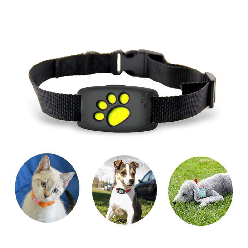 "Schlankes, pinkes GPS Katzenhalsband, wasserdicht, ohne Abo, für sichere Haustierortung, innovative GPS-Technologie."