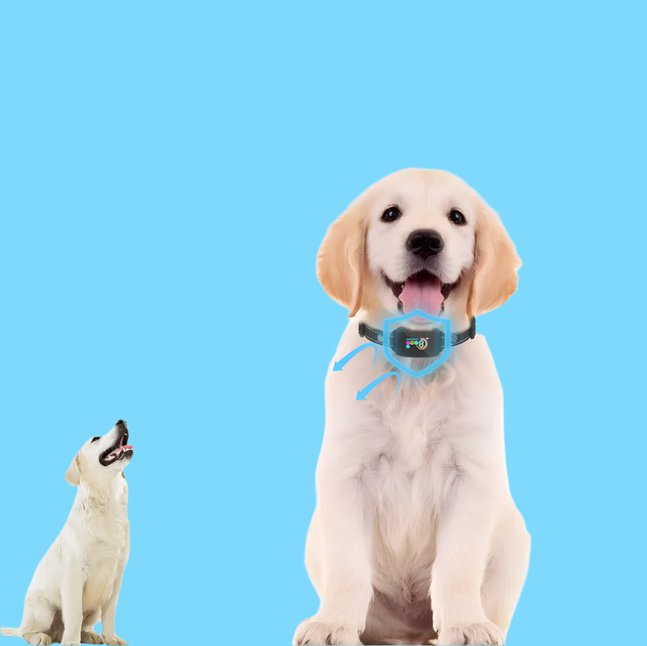 "Schwarzes Hundetraining Halsband mit 8 Empfindlichkeitsstufen und Schockmodus für effektives Verhaltenstraining."