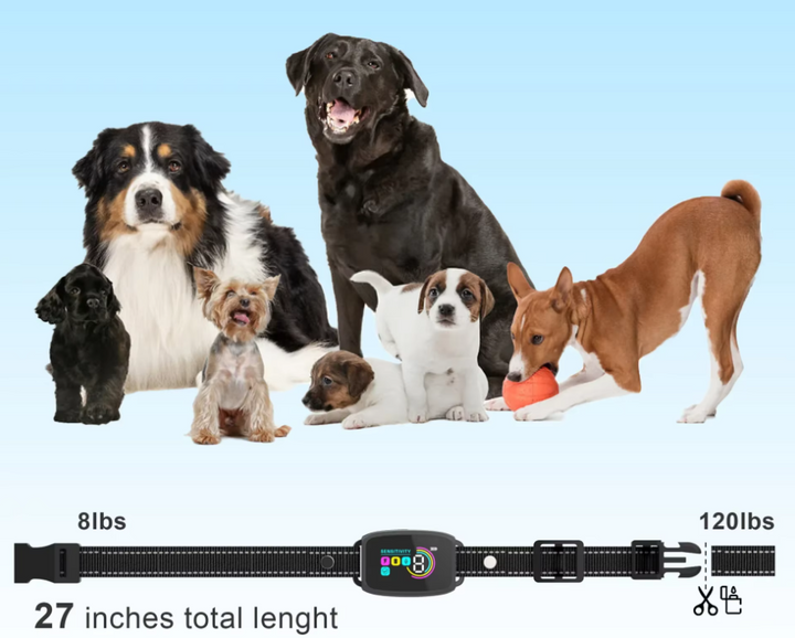 "Schwarzes Hundetraining Halsband mit 8 Empfindlichkeitsstufen und Schockmodus für effektives Verhaltenstraining."