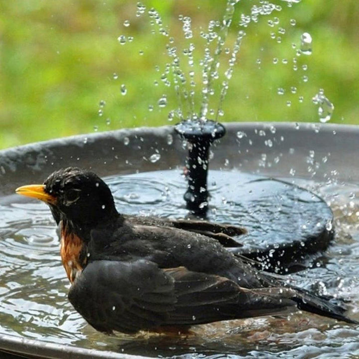 "Solar Springbrunnen Pumpe für Garten, nachhaltiges Design, plätscherndes Wasser, ohne Kabel, effiziente Solarenergie."