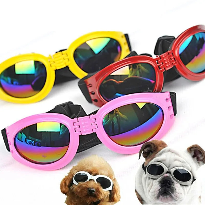 "Stilvolle UV-Schutz Hundebrille in lebhaften Farben, bietet Schutz vor UV-Strahlen, Wind und Staub, bequeme Passform."