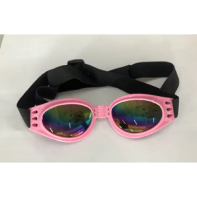 "Stilvolle UV-Schutz Hundebrille in lebhaften Farben, bietet Schutz vor UV-Strahlen, Wind und Staub, bequeme Passform."