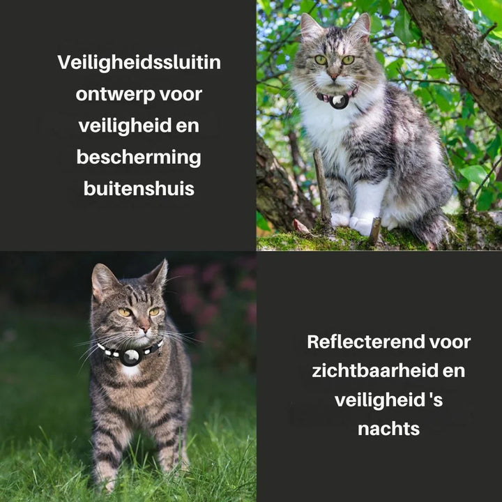 Stilvolles Katzenhalsband mit Sicherheitsclip, verstellbar, in leuchtendem Farbdesign mit Glöckchen für abenteuerlustige Katz