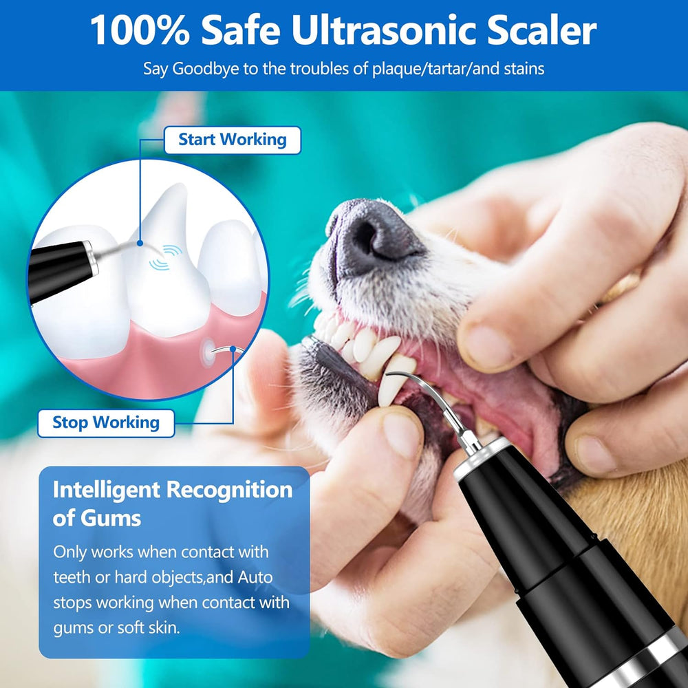"Ultraschall-Zahnreinigungsset für Haustiere mit 4 Werkzeugen, geeignet für Hunde und Katzen, sanfte Reinigung, USB-aufladbar