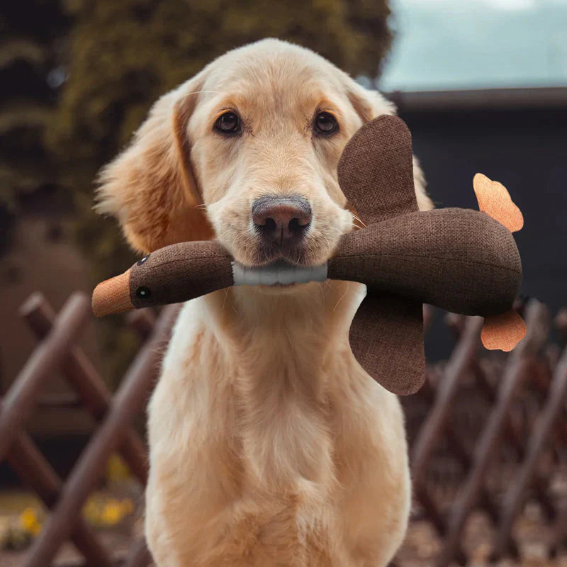 "Unzerstörbares Hundespielzeug für Zahnpflege, haltbares Design, geeignet für alle Hunderassen, blau und braun erhältlich."