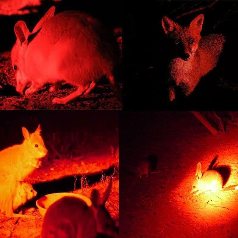 "Vielseitige, ergonomische LED Stirnlampe mit Weiß-, Rot- und Grünlicht, ideal für Outdoor-Abenteuer und Arbeiten im Dunkeln.
