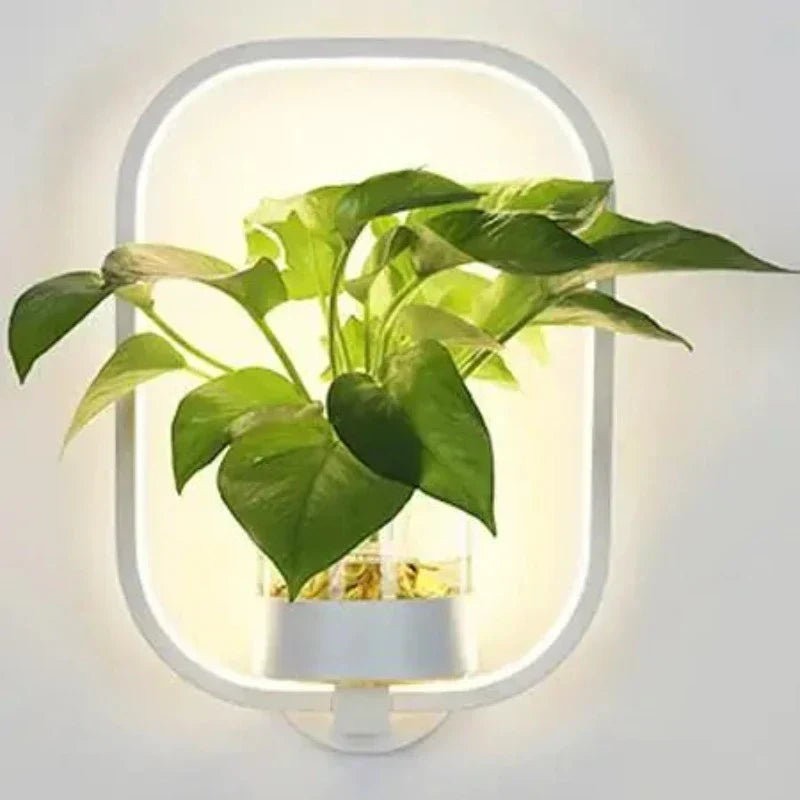 "Wandlampe Pflanzenlampe mit Glas und natürlichem Design, ideal für stilvolle Innenräume, beleuchtet mit kaltem oder warmem W