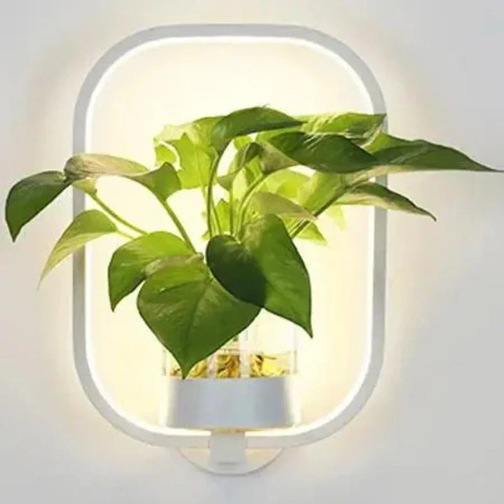 "Wandlampe Pflanzenlampe mit Glas und natürlichem Design, ideal für stilvolle Innenräume, beleuchtet mit kaltem oder warmem W