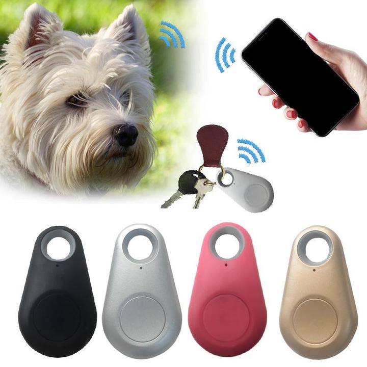 "Wasserdichter GPS-Tracker für Haustiere in Nahaufnahme, robuster, handlicher Tracker, ideal für Echtzeit-Ortung."