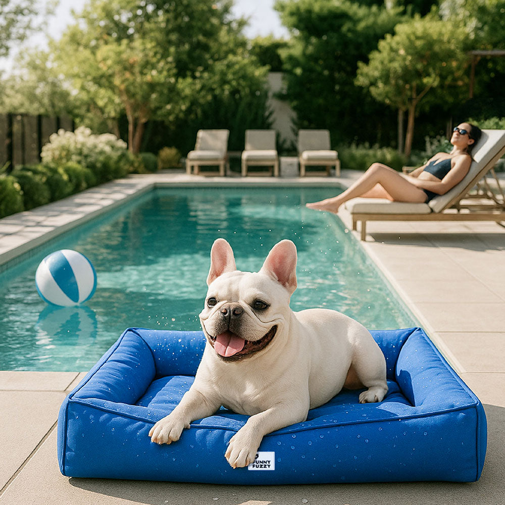 Wasserfestes Hundebett, orthopädisch, großes Modell, graues Material, mit erhöhter Kante für komfortable Kopfstütze