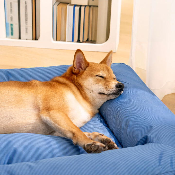 Wasserfestes Hundebett, orthopädisch, großes Modell, graues Material, mit erhöhter Kante für komfortable Kopfstütze
