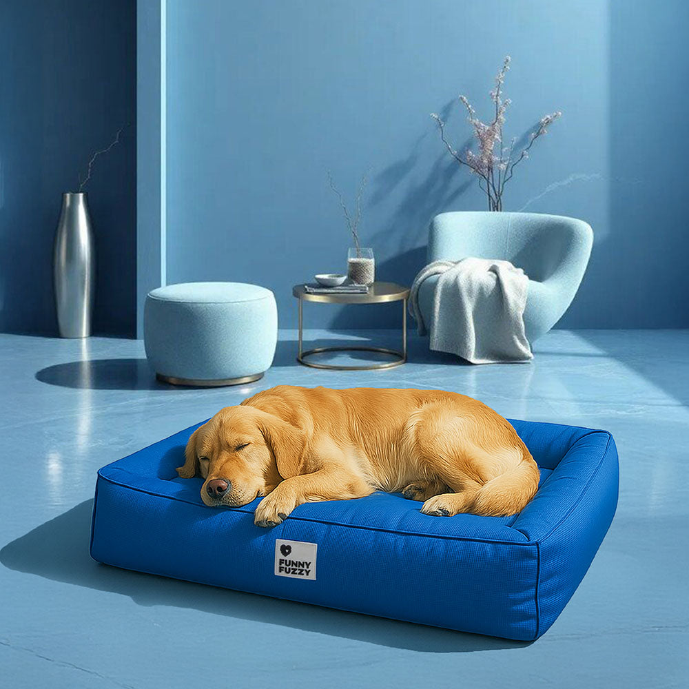 Wasserfestes Hundebett, orthopädisch, großes Modell, graues Material, mit erhöhter Kante für komfortable Kopfstütze
