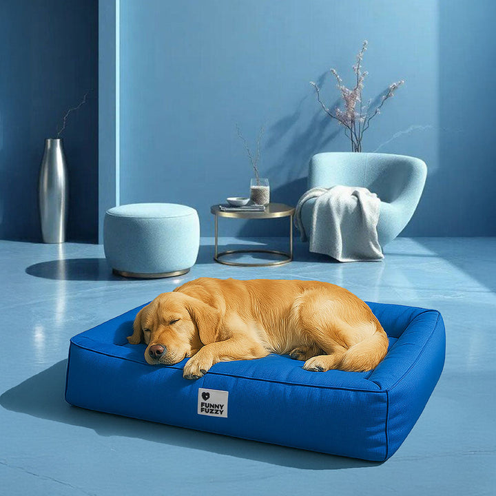 Wasserfestes Hundebett, orthopädisch, großes Modell, graues Material, mit erhöhter Kante für komfortable Kopfstütze
