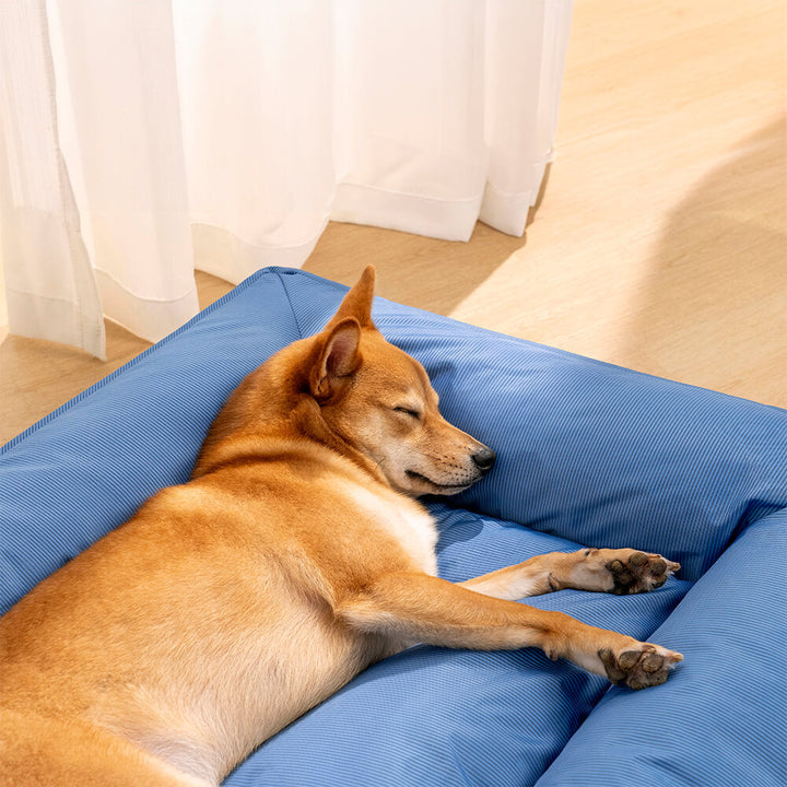 Wasserfestes Hundebett, orthopädisch, großes Modell, graues Material, mit erhöhter Kante für komfortable Kopfstütze