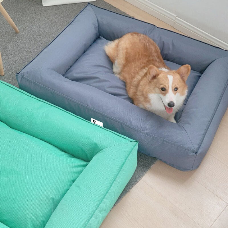 Wasserfestes Hundebett, orthopädisch, großes Modell, graues Material, mit erhöhter Kante für komfortable Kopfstütze
