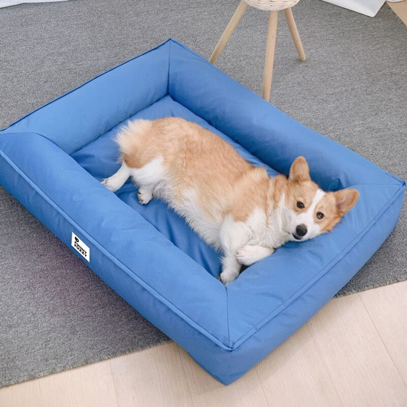Wasserfestes Hundebett, orthopädisch, großes Modell, graues Material, mit erhöhter Kante für komfortable Kopfstütze
