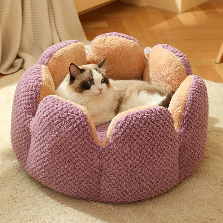 "Weiches Kaktus Haustierbett, stilvolles Design, komfortabel, in Grün, Braun, Lila, für Hunde und Katzen, M bis XL."