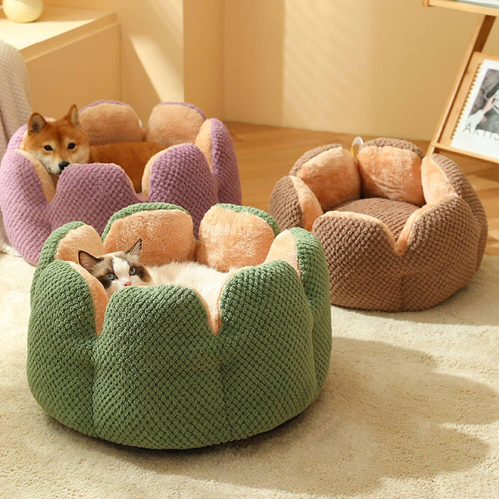 "Weiches Kaktus Haustierbett, stilvolles Design, komfortabel, in Grün, Braun, Lila, für Hunde und Katzen, M bis XL."