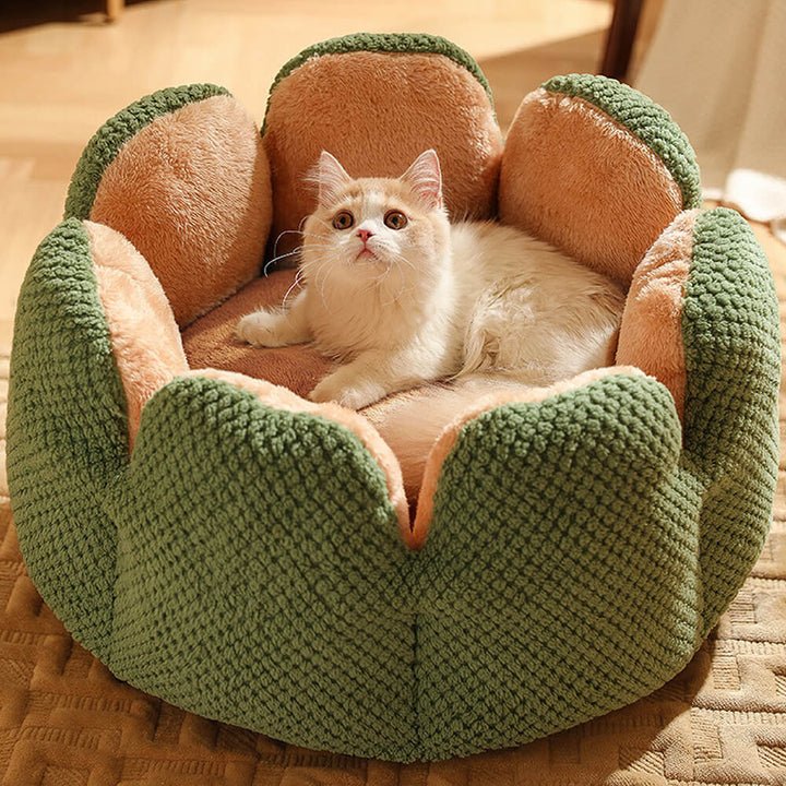 "Weiches Kaktus Haustierbett, stilvolles Design, komfortabel, in Grün, Braun, Lila, für Hunde und Katzen, M bis XL."