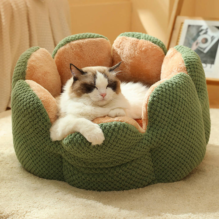 "Weiches Kaktus Haustierbett, stilvolles Design, komfortabel, in Grün, Braun, Lila, für Hunde und Katzen, M bis XL."