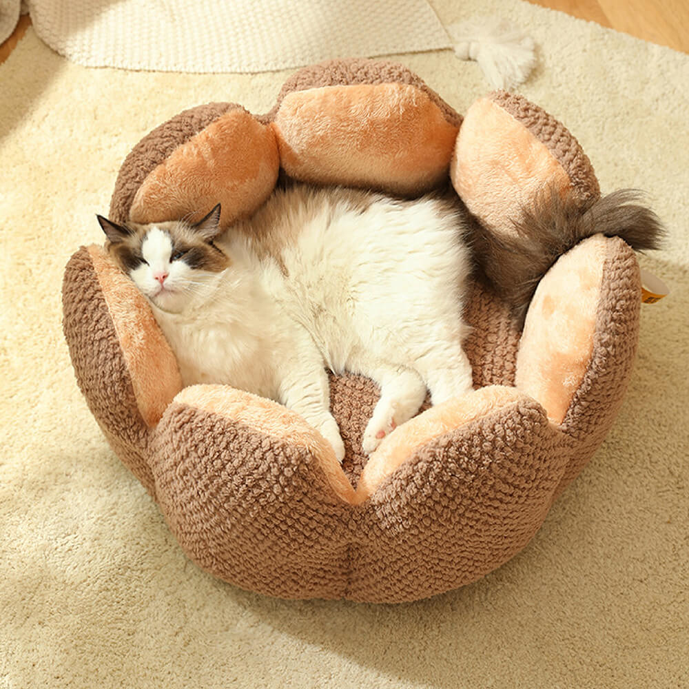 "Weiches Kaktus Haustierbett, stilvolles Design, komfortabel, in Grün, Braun, Lila, für Hunde und Katzen, M bis XL."