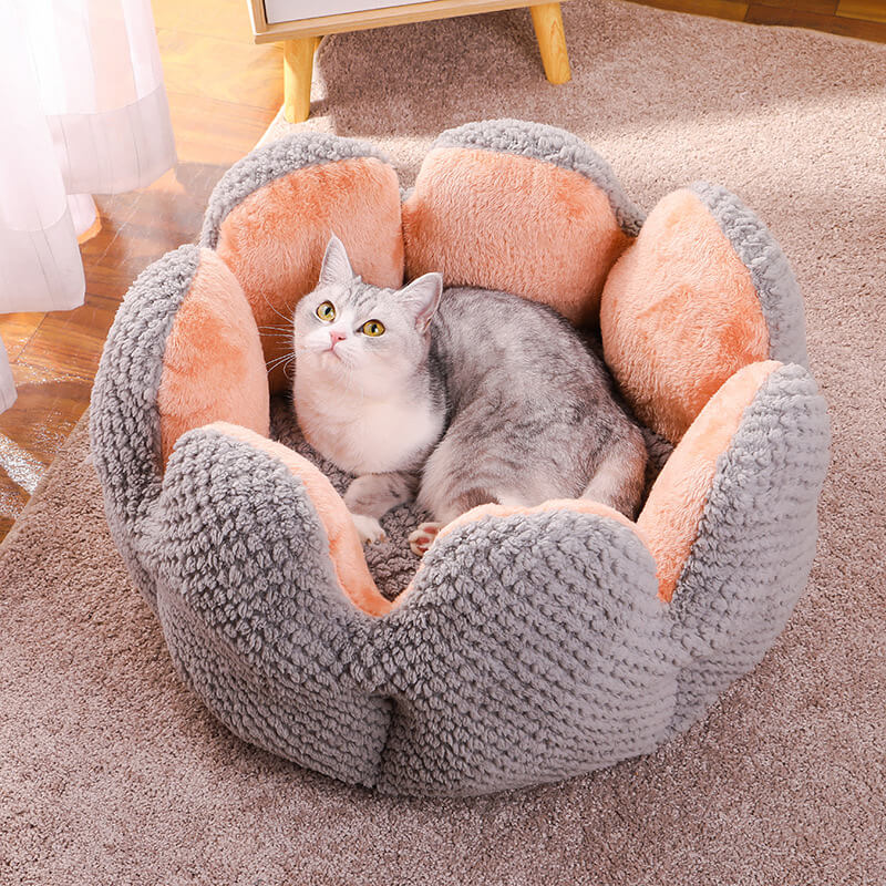 "Weiches Kaktus Haustierbett, stilvolles Design, komfortabel, in Grün, Braun, Lila, für Hunde und Katzen, M bis XL."