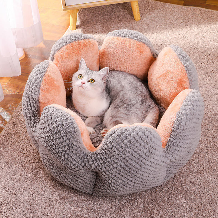 "Weiches Kaktus Haustierbett, stilvolles Design, komfortabel, in Grün, Braun, Lila, für Hunde und Katzen, M bis XL."